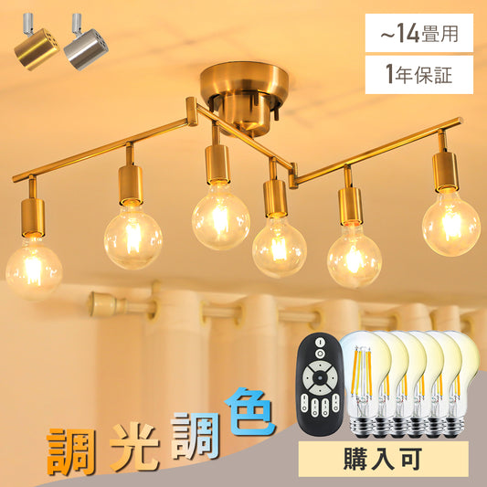Ceiling Light | シーリングライト 6灯【GT-DJ-6】