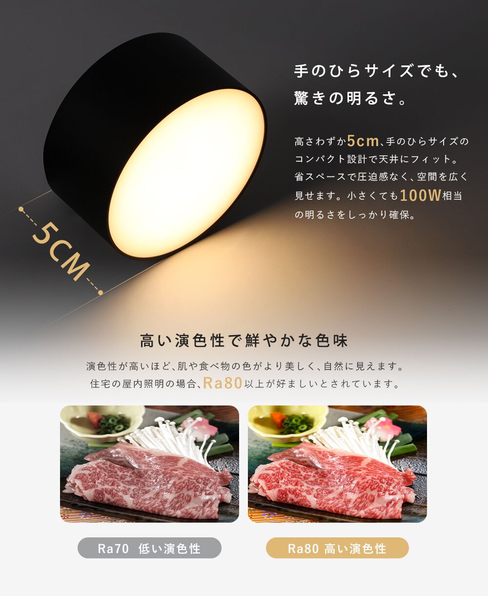 Ceiling Light | 一体型ミニシーリングライト 1灯【GT-D10】