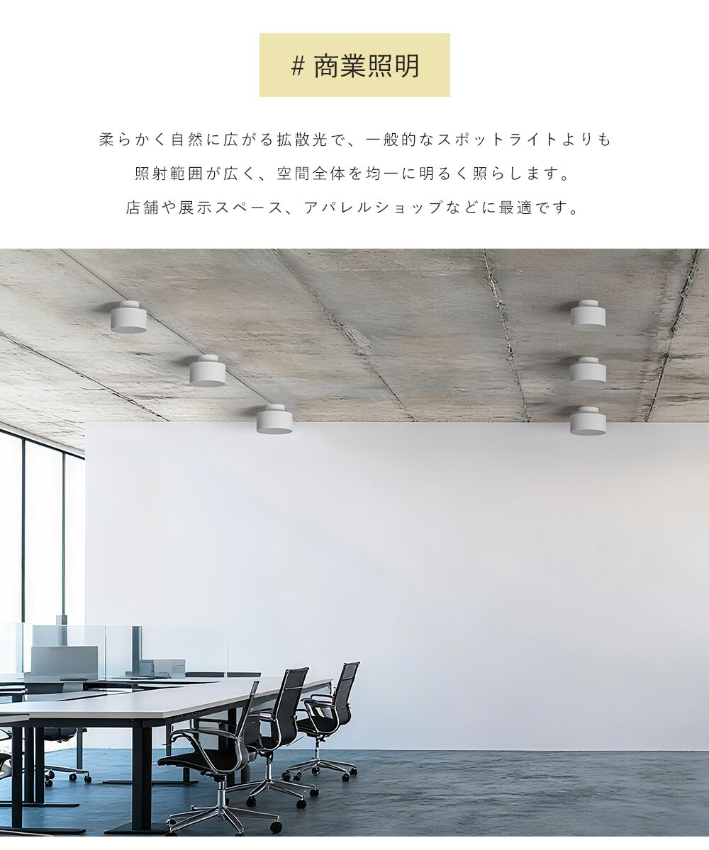 Ceiling Light | 一体型ミニシーリングライト 1灯【GT-D10】