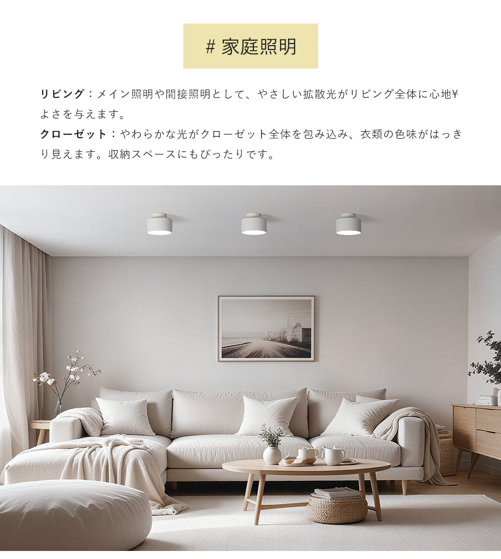 Ceiling Light | 一体型ミニシーリングライト 1灯【GT-D10】