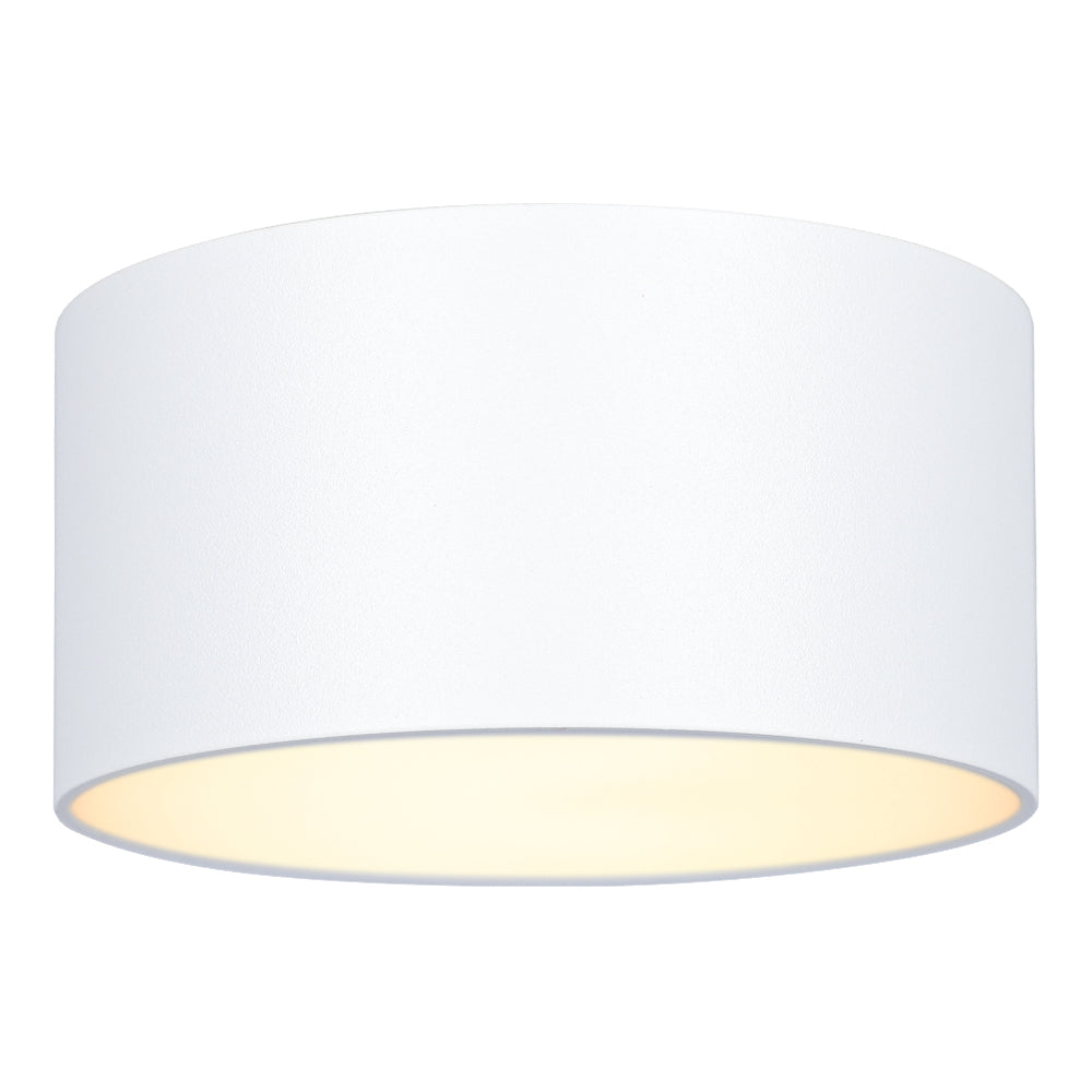 Ceiling Light | 一体型ミニシーリングライト 1灯【GT-D10】