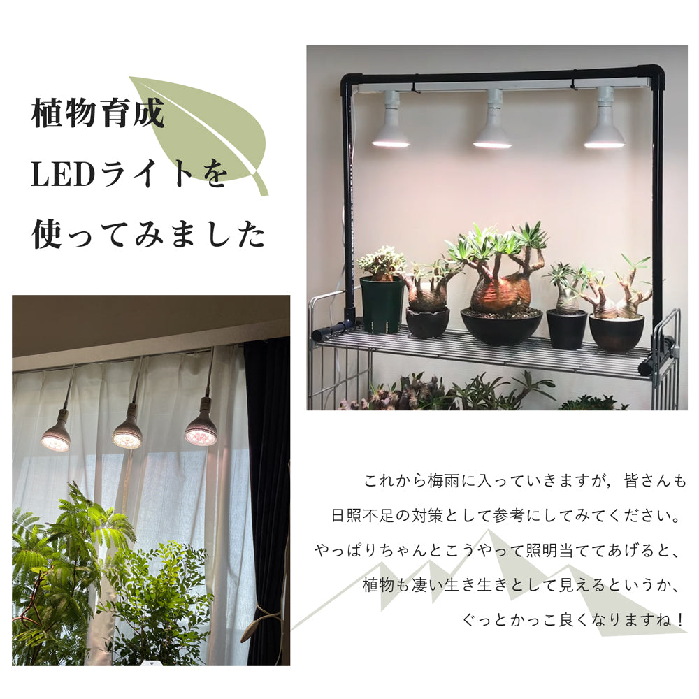 ダクトレール コンセント型【GT-DJ-1MGDT-Z】