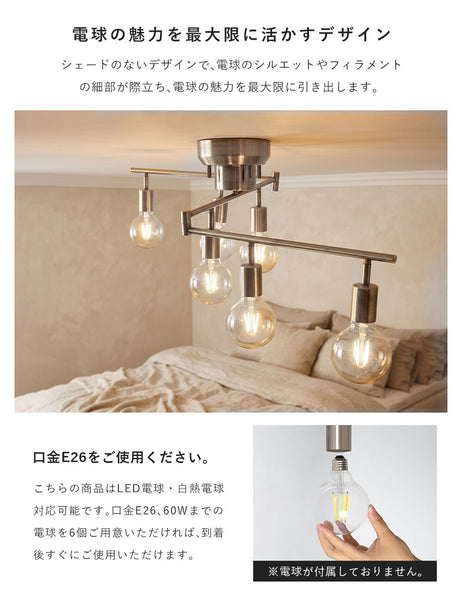 Ceiling Light | シーリングライト 6灯【GT-DJ-6】