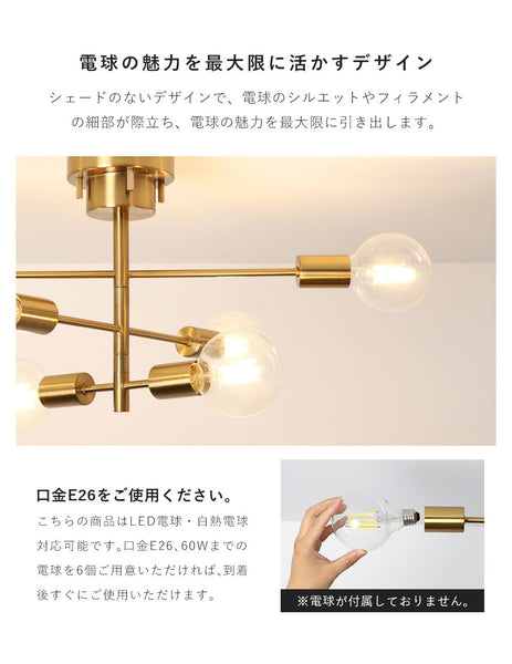 Ceiling Light | シーリングライト 6灯 回転アームタイプ【DJA6】