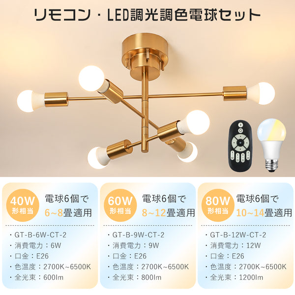 Ceiling Light | シーリングライト 6灯 回転アームタイプ【DJA6】