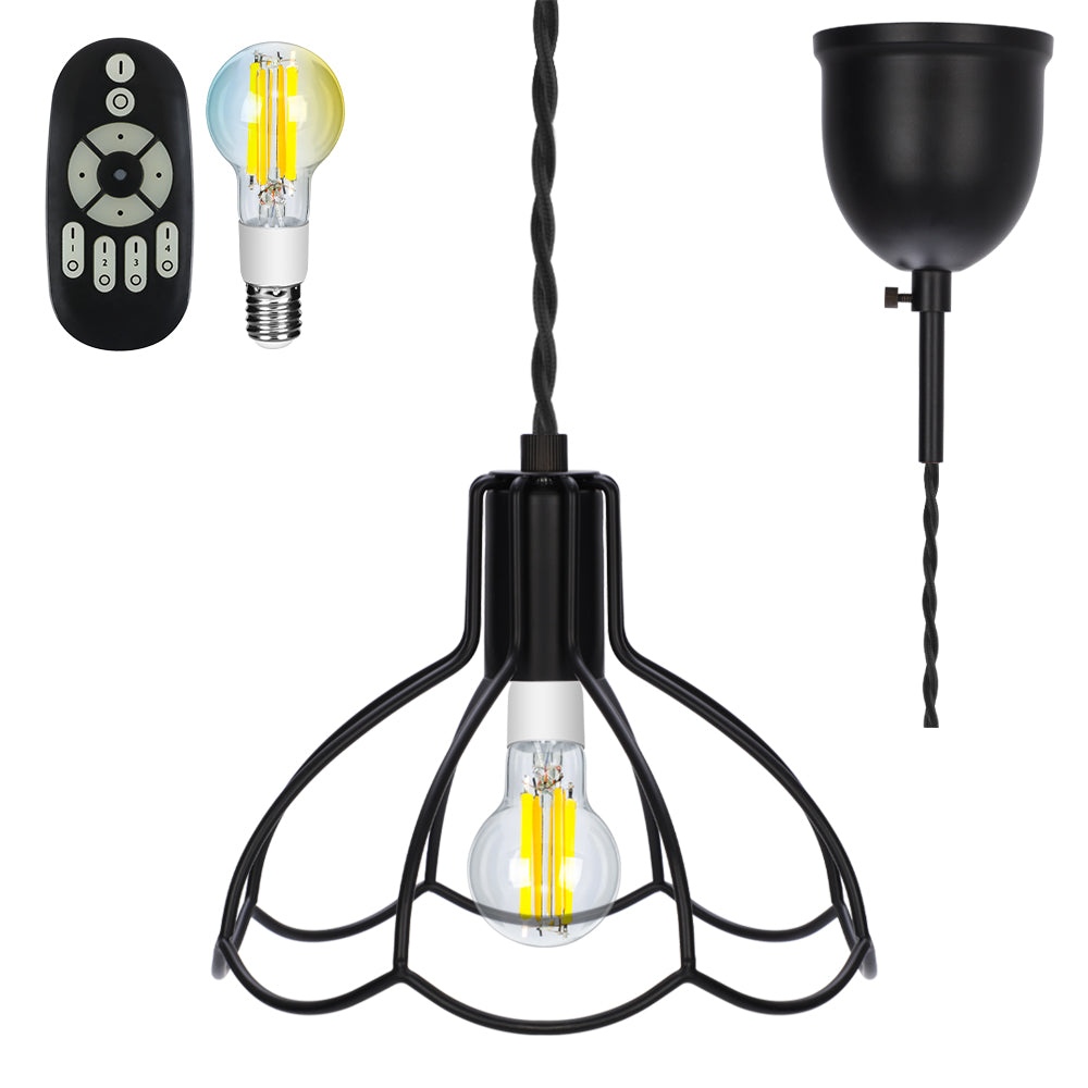 Pendant Light | ペンダントライト 1灯【GT-DJ001】
