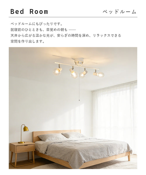 Ceiling Light | シーリングライト 4灯【DJIE26】