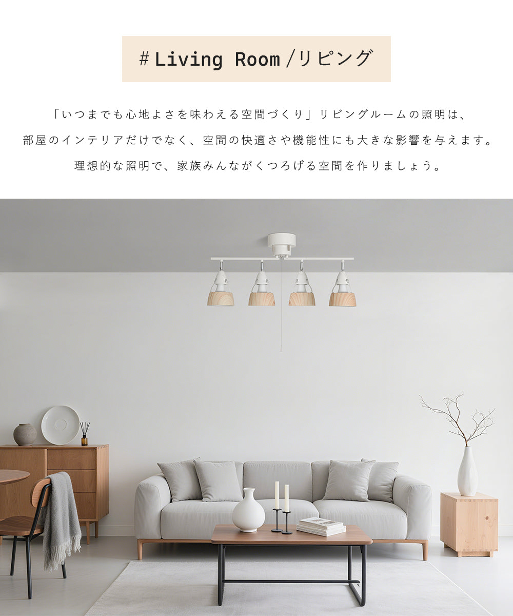 Ceiling Light | シーリングライト 4灯【SETDJ4Q】