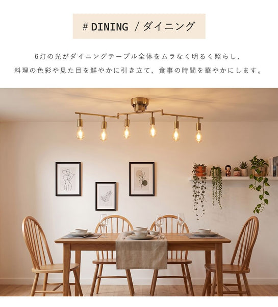 Ceiling Light | シーリングライト 6灯【GT-DJ-6】
