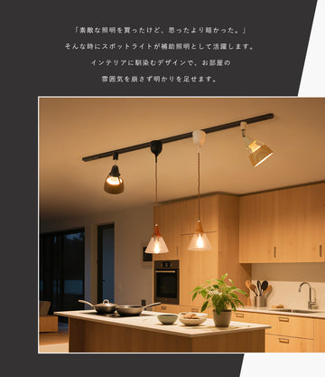 共同照明】ダクトレール用スポットライト E26 調光調色 LED電球付き