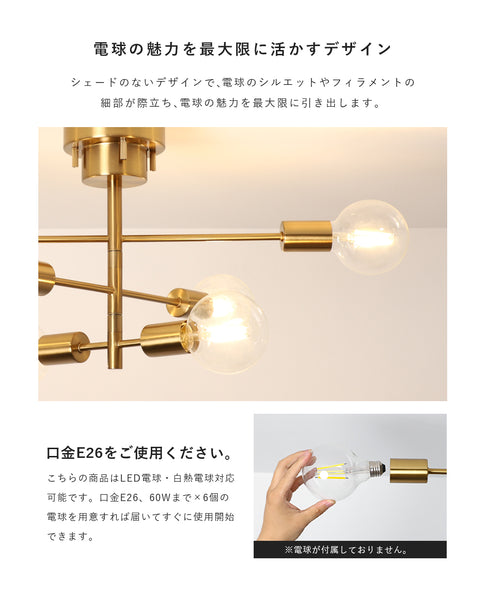 Ceiling Light | シーリングライト 6灯 回転アームタイプ【DJA6】