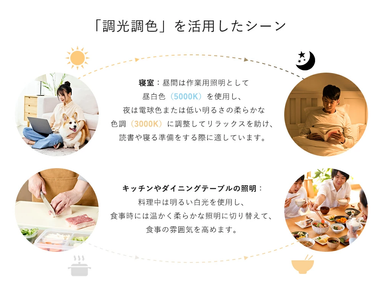 共同照明】スポットライト 一体型 ダクトレール スポットライト