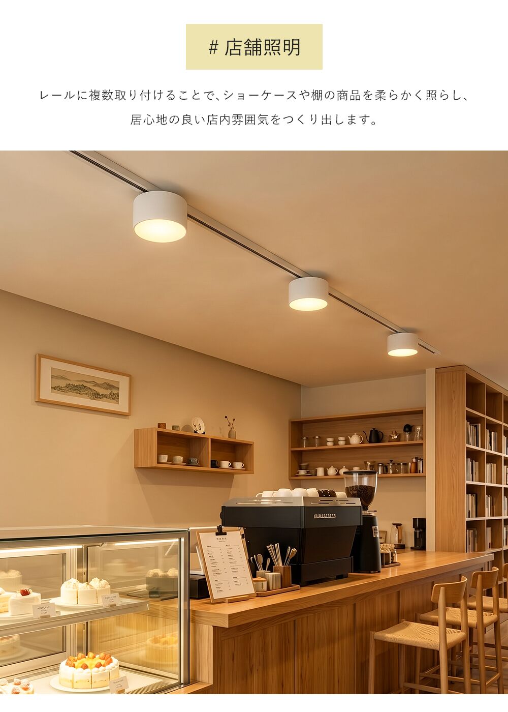 Ceiling Light | 一体型ミニシーリングライト 1灯【GT-D10】