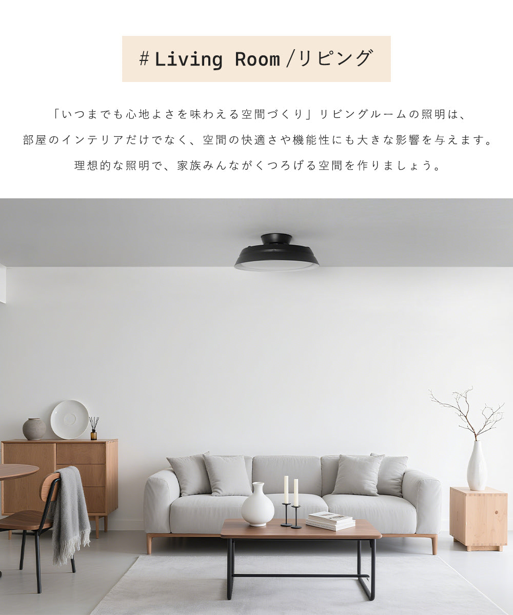 Ceiling Light | 一体型シーリングライト 1灯【GT-DOWN-55WCT】