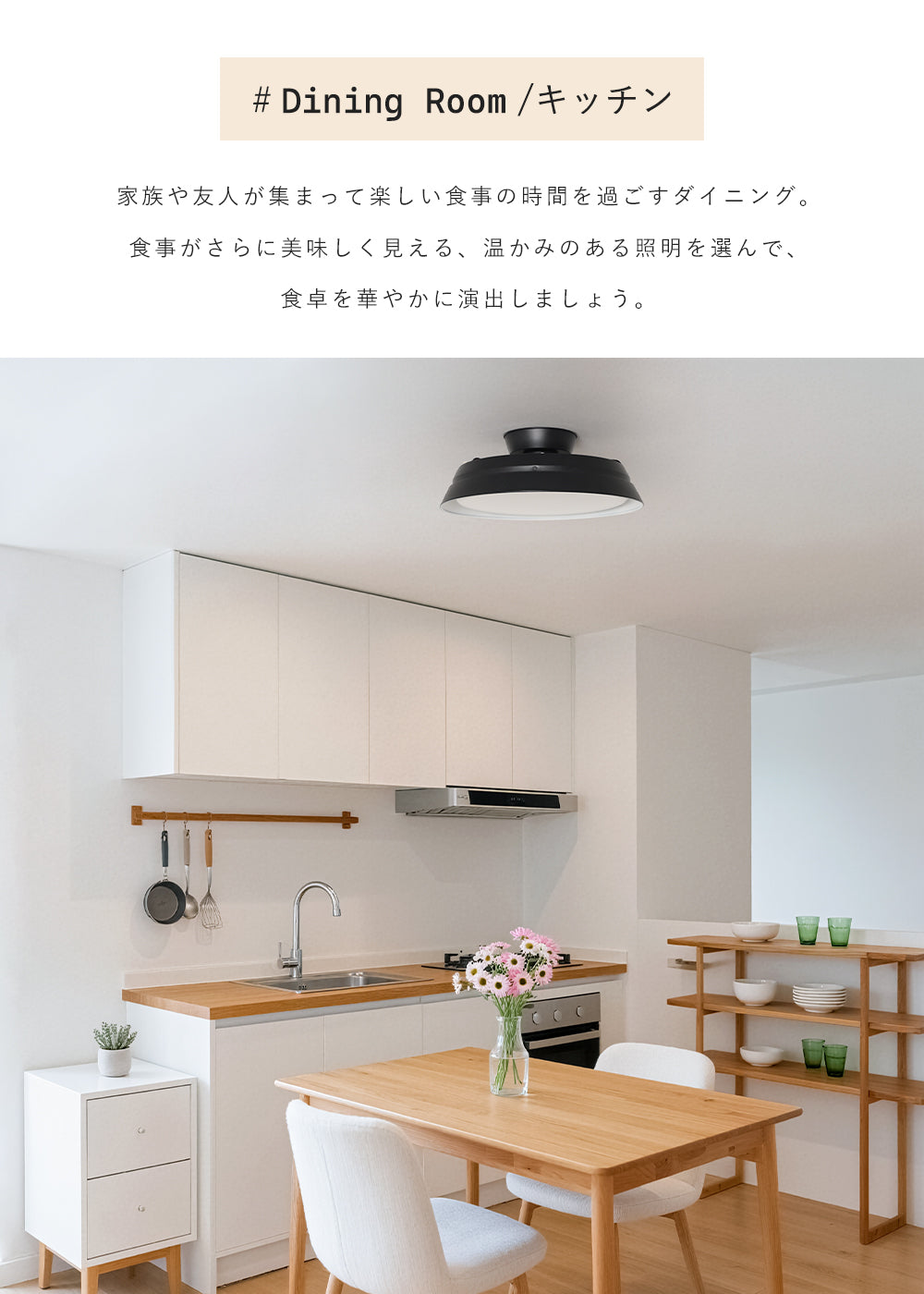 Ceiling Light | 一体型シーリングライト 1灯【GT-DOWN-55WCT】
