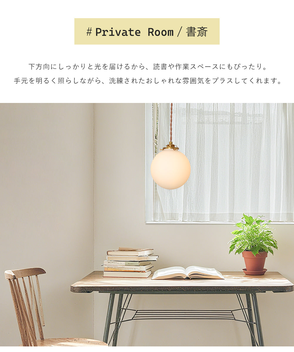 Pendant Light | ペンダントライト 1灯 引っ掛けプラグ式/ダクトプラグ式【GT003】