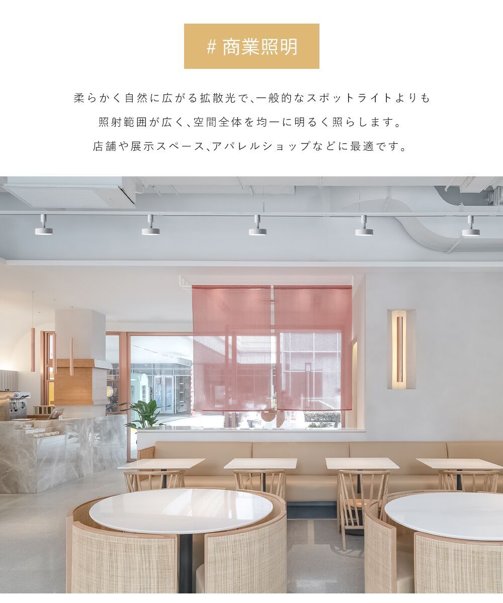 Spotlight | 一体型 スポットライト【GT-GD-10Y】