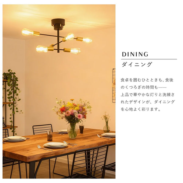 Ceiling Light | シーリングライト 6灯 回転アームタイプ【DJA6】