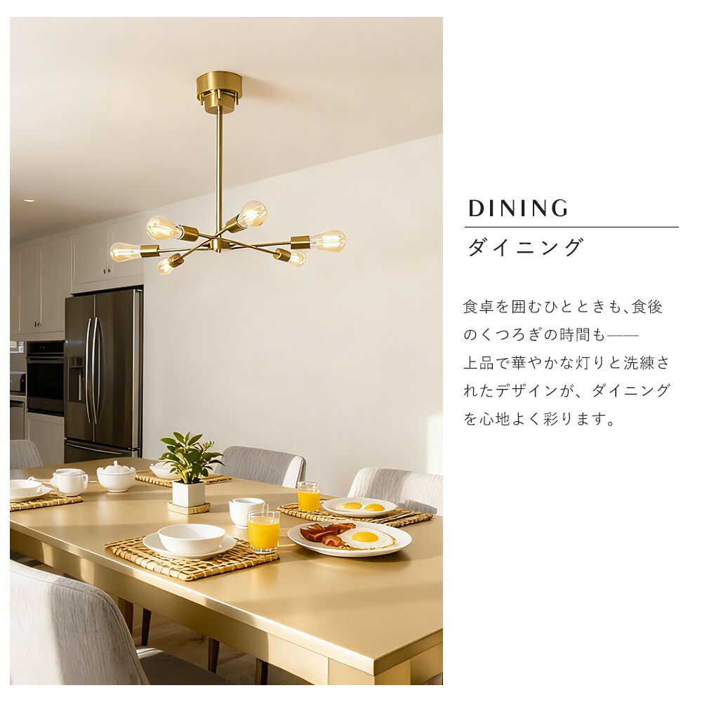Ceiling Light | シーリングライト 6灯【GT-DJ006】