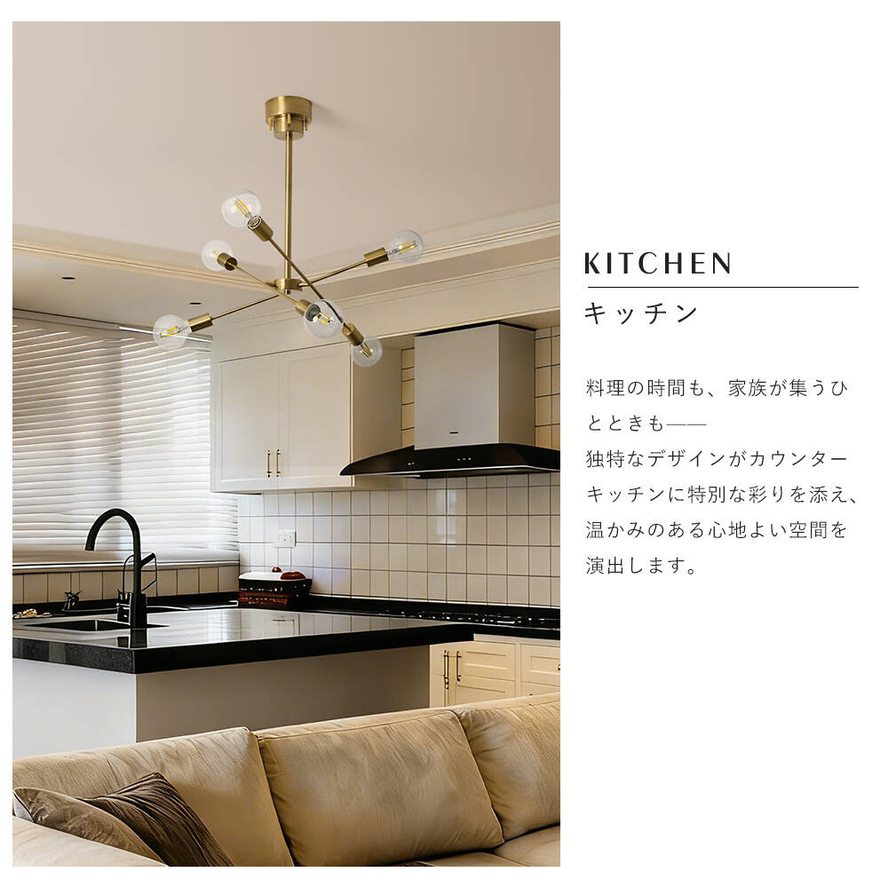 Ceiling Light | シーリングライト 6灯【GT-DJ006】