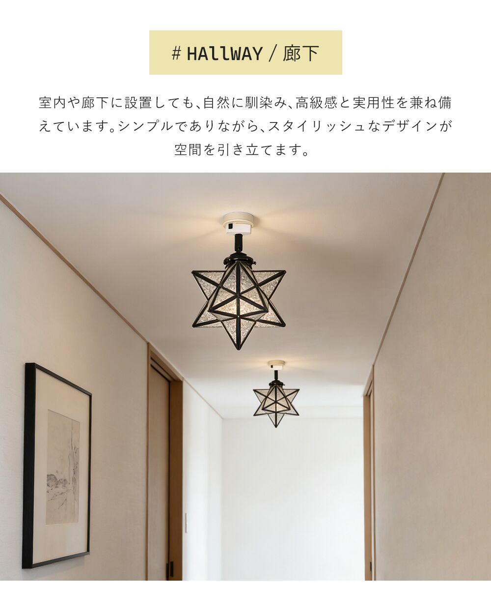 Pendant Light | ペンダントライト/シーリングライト 1灯【GT-DJ005】