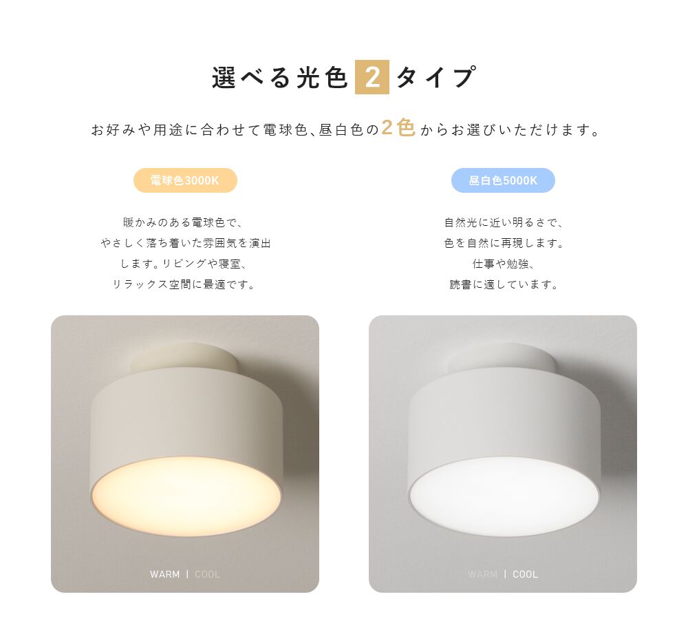Ceiling Light | 一体型ミニシーリングライト 1灯【GT-D10】
