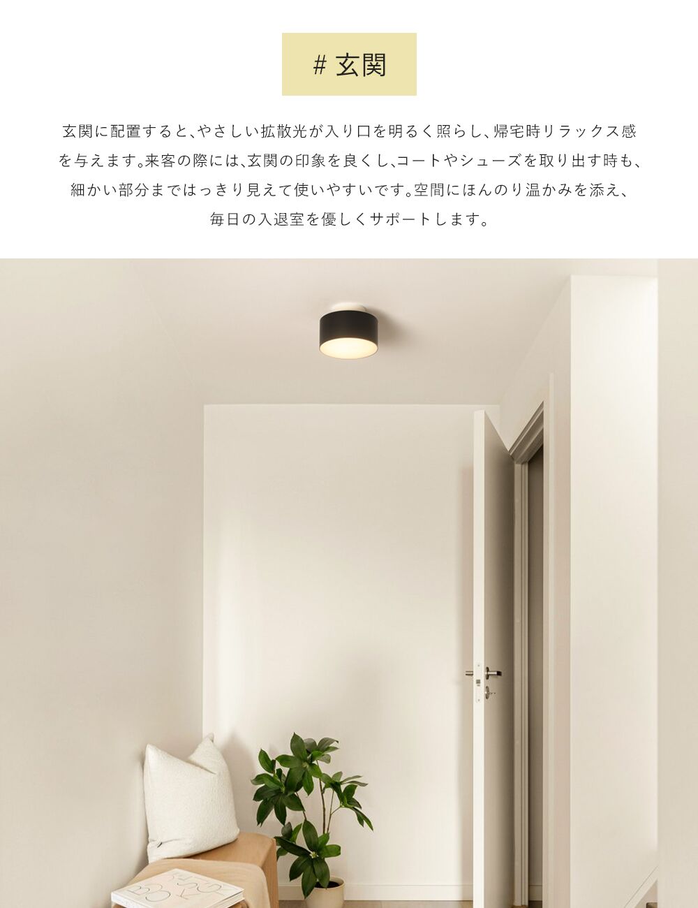 Ceiling Light | 一体型ミニシーリングライト 1灯【GT-D10】