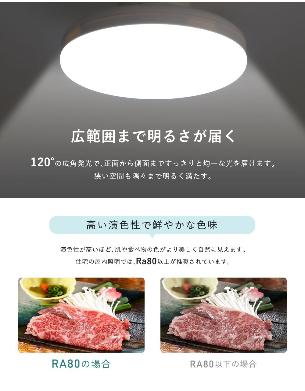 Ceiling Light | 一体型シーリングライト 1灯【GT-DOWN-10】