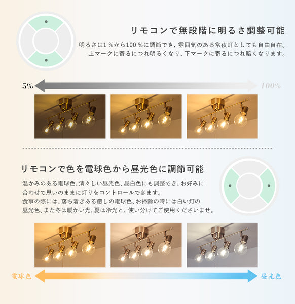 Ceiling Light | シーリングライト 4灯【DJIE26】