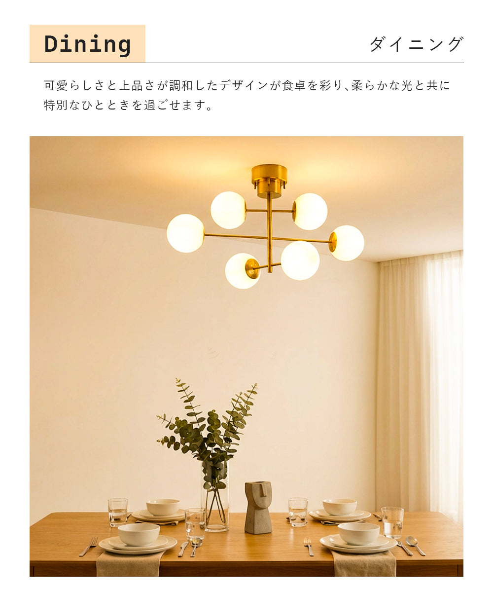 Ceiling Light | シーリングライト 6灯 4灯【GT-DJ008】