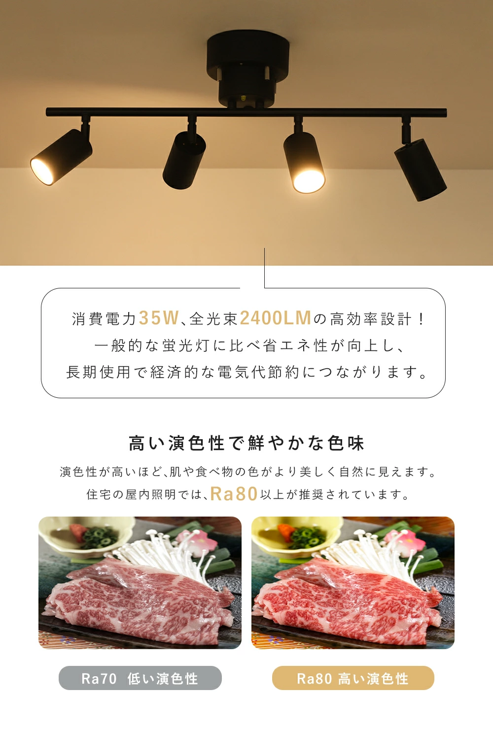 Ceiling Light | シーリングライト 4灯【GT-DJ009】