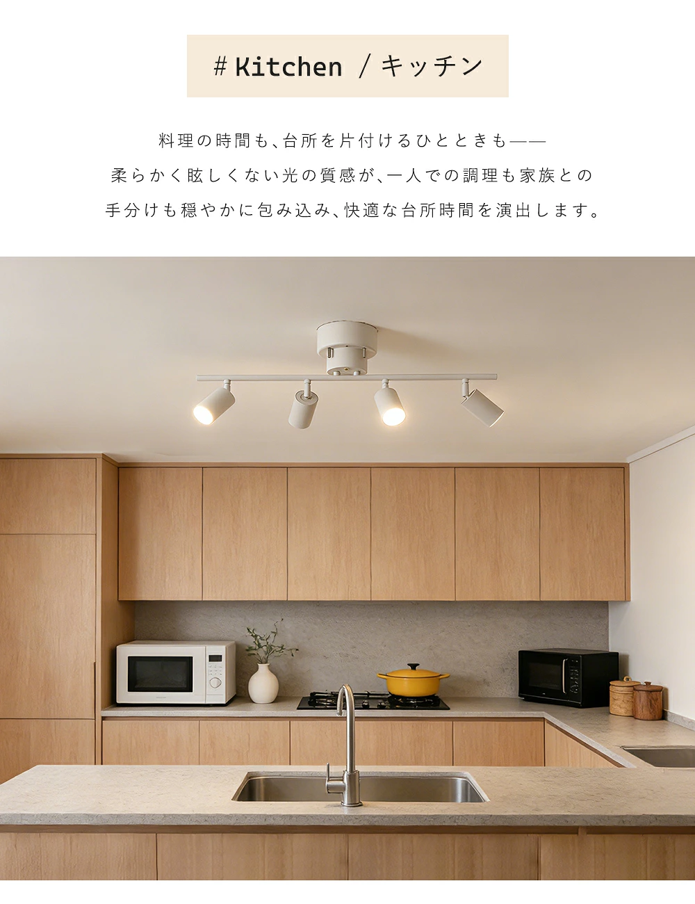 Ceiling Light | シーリングライト 4灯【GT-DJ009】