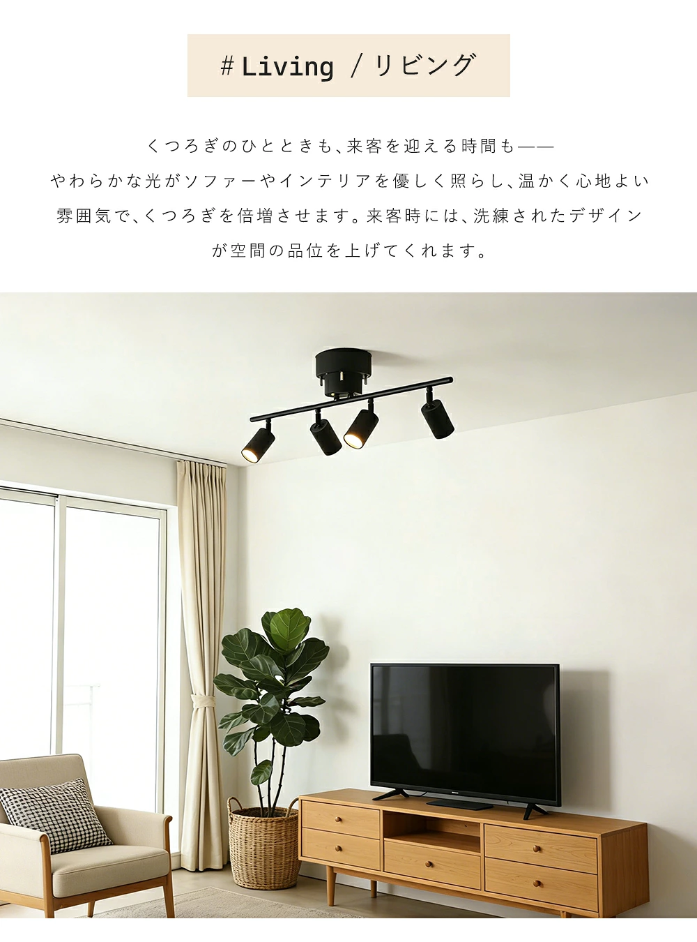 Ceiling Light | シーリングライト 4灯【GT-DJ009】