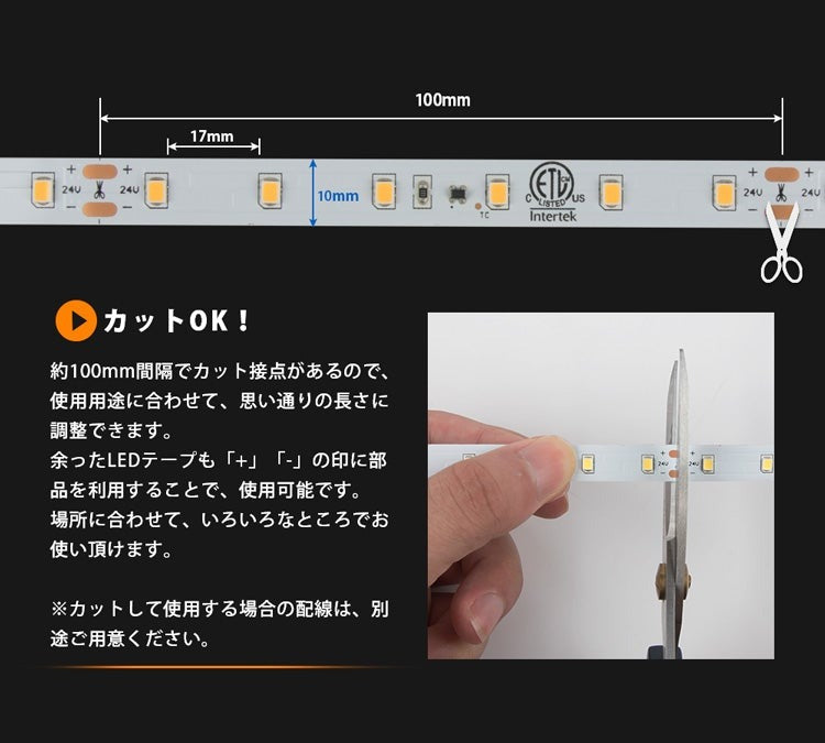 共同照明】LEDテープライト 24V SMD2835 昼光色 電球色 900連採用