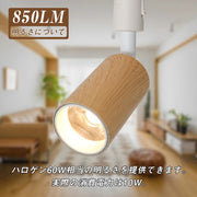 共同照明】スポットライト 一体型 ダクトレール スポットライト