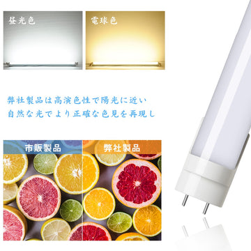 光緒年製　蛍茶碗　2客 光緒年製 蛍茶碗 2客 61IH4NjfJEL._UF350,350_QL80_.jpg
